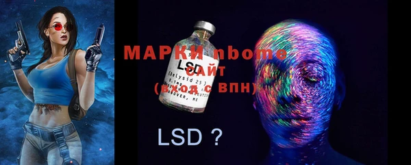 тгк Абаза