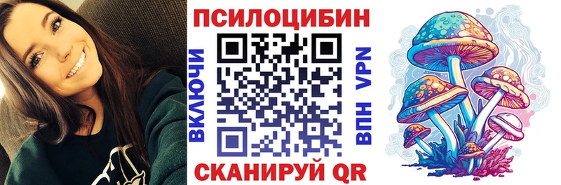 Псилоцибиновые грибы Cubensis  Нестеровская 